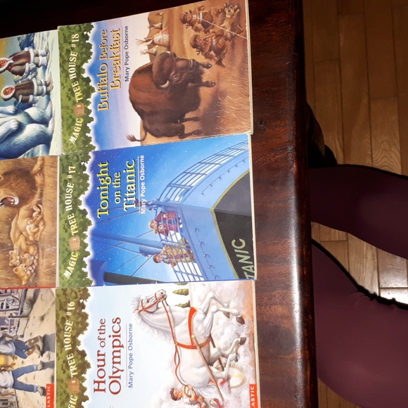 Magic Tree House 1-18 and 17,18,20,21,22,23 Magic Tree House Merlin Missions. - Picture 5 of 5